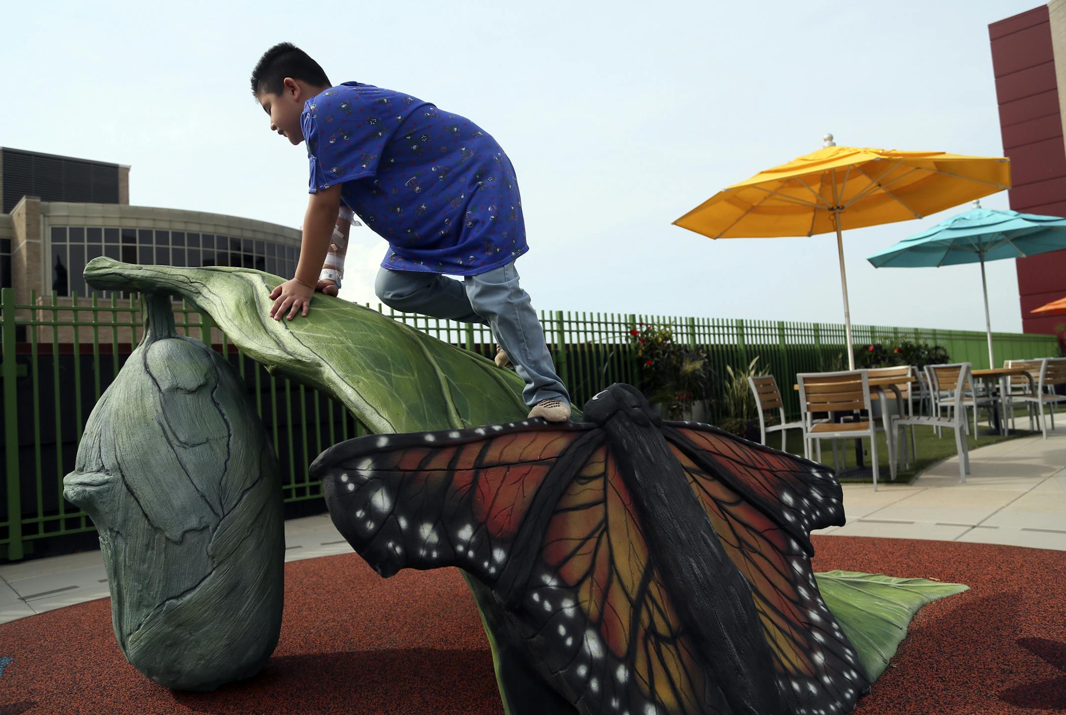 While on the new rooftop garden at Children's Hospital St. Paul, Austin Lopez Flores, 8, climbs on playground equipment shaped like a monarch butterfly Thursday, June 20, 2013, in St. Paul, MN. ](DAVID JOLES/STARTRIBUNE) djoles@startribune.com Children's Hospital St. Paul is now home to a new rooftop garden designed to help kids heal.** Austin Lopez Flores,cq