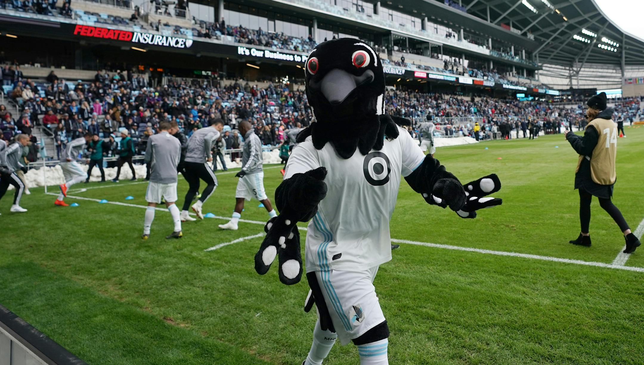 Minnesota United's mascot PK the loon wandered the field as players warmed up ahead of Saturday's Minnesota United home opener against New York City at Allianz Field. ] ANTHONY SOUFFLE • anthony.souffle@startribune.com Minnesota United played New York City in the home opener for the newly built Allianz Field Saturday, April 13, 2019 in St. Paul, Minn.