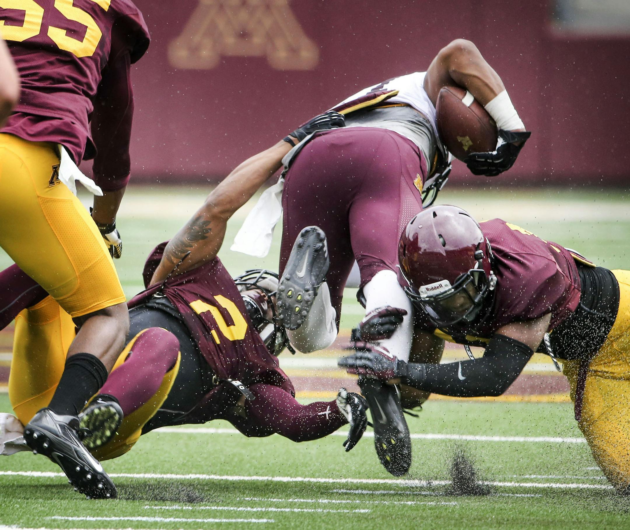 University of Minnesota runningback David Cobb is tripped up by defenders Cedric Thompson (2) and Damien Wilson, right, during a scrimmage Saturday, Aug. 9, 2014, at TCF Bank Stadium in Minneapolis.] (DAVID JOLES/STARTRIBUNE) djoles@startribune University of Minnesota Gophers football team scrimmage Saturday, Aug. 9, 2014, at TCF Bank Stadium in Minneapolis.