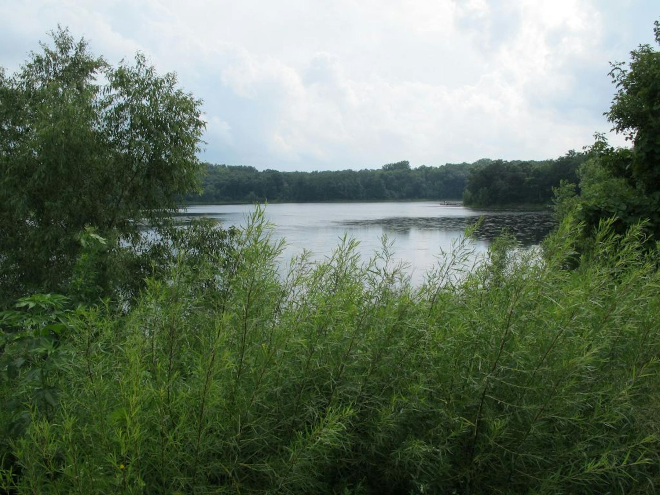 2011 Photo: The stretch of shoreline on Holland Lake, Eagan, just off Cliff Rd., in Lebanon Hills park, for which a public easement is being bought.