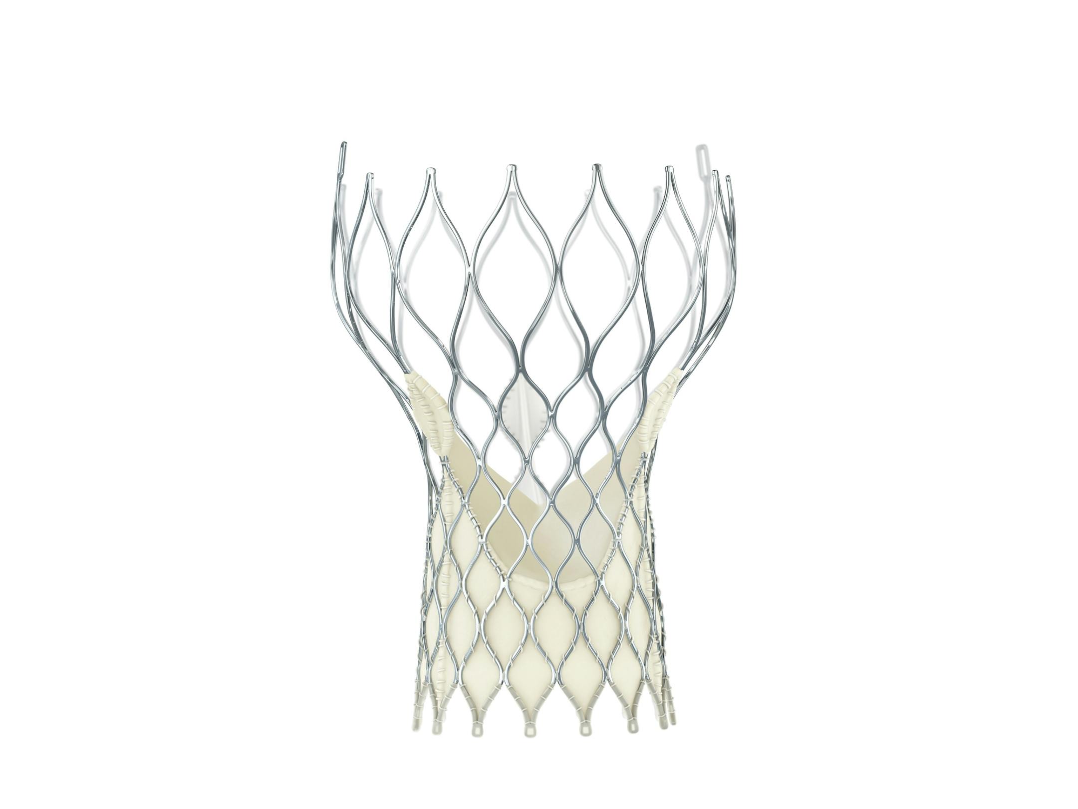 Medtronic's transcatheter aortic valve replacement (TAVR) device. This and similar devices can be delivered to the heart through a small catheter tube in a less-invasive alternative to open-heart surgery.