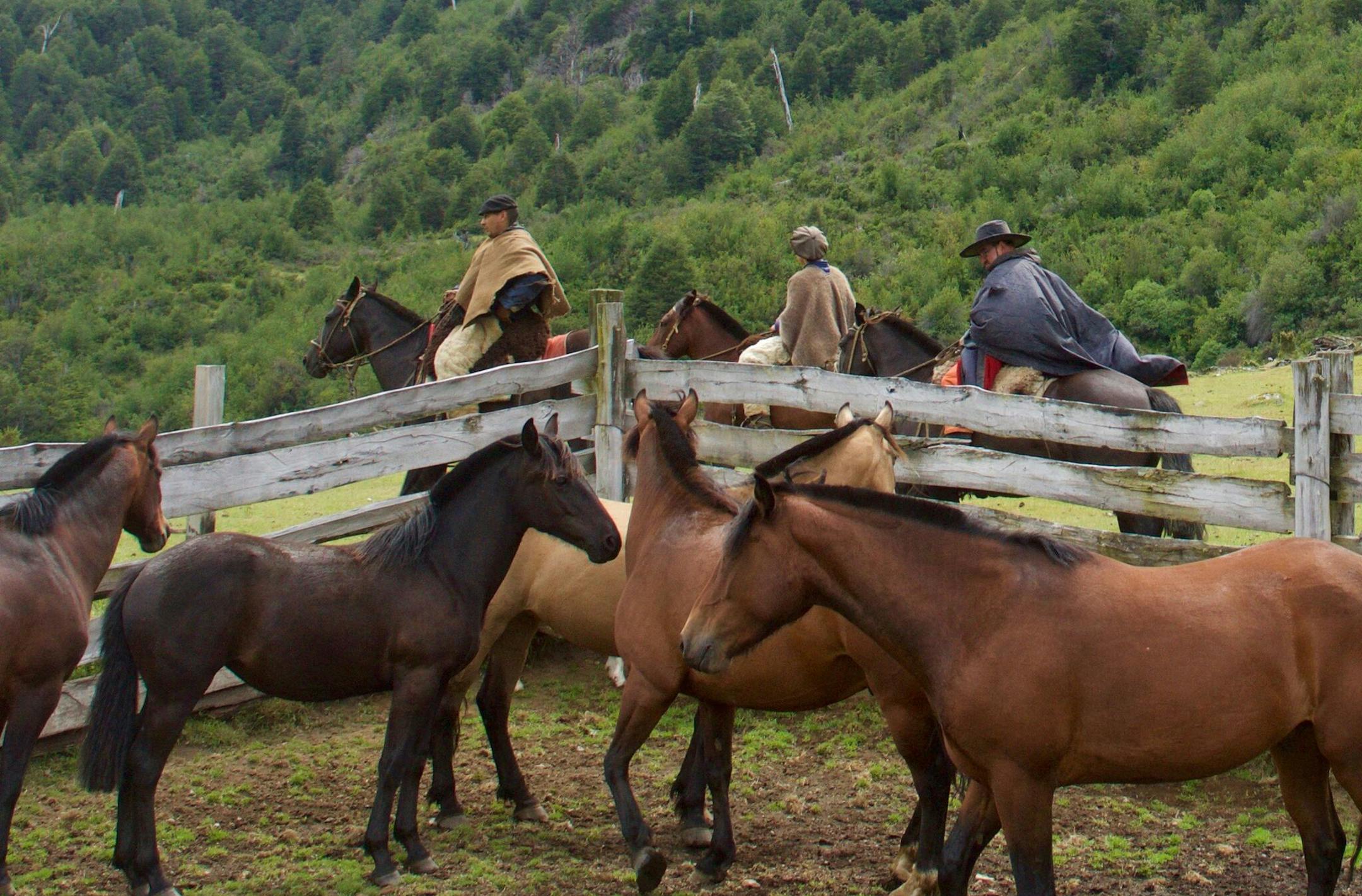 A horseback ride to remote Patagonia. Photo by Josephine Marcotty * Special to the Star Tribune