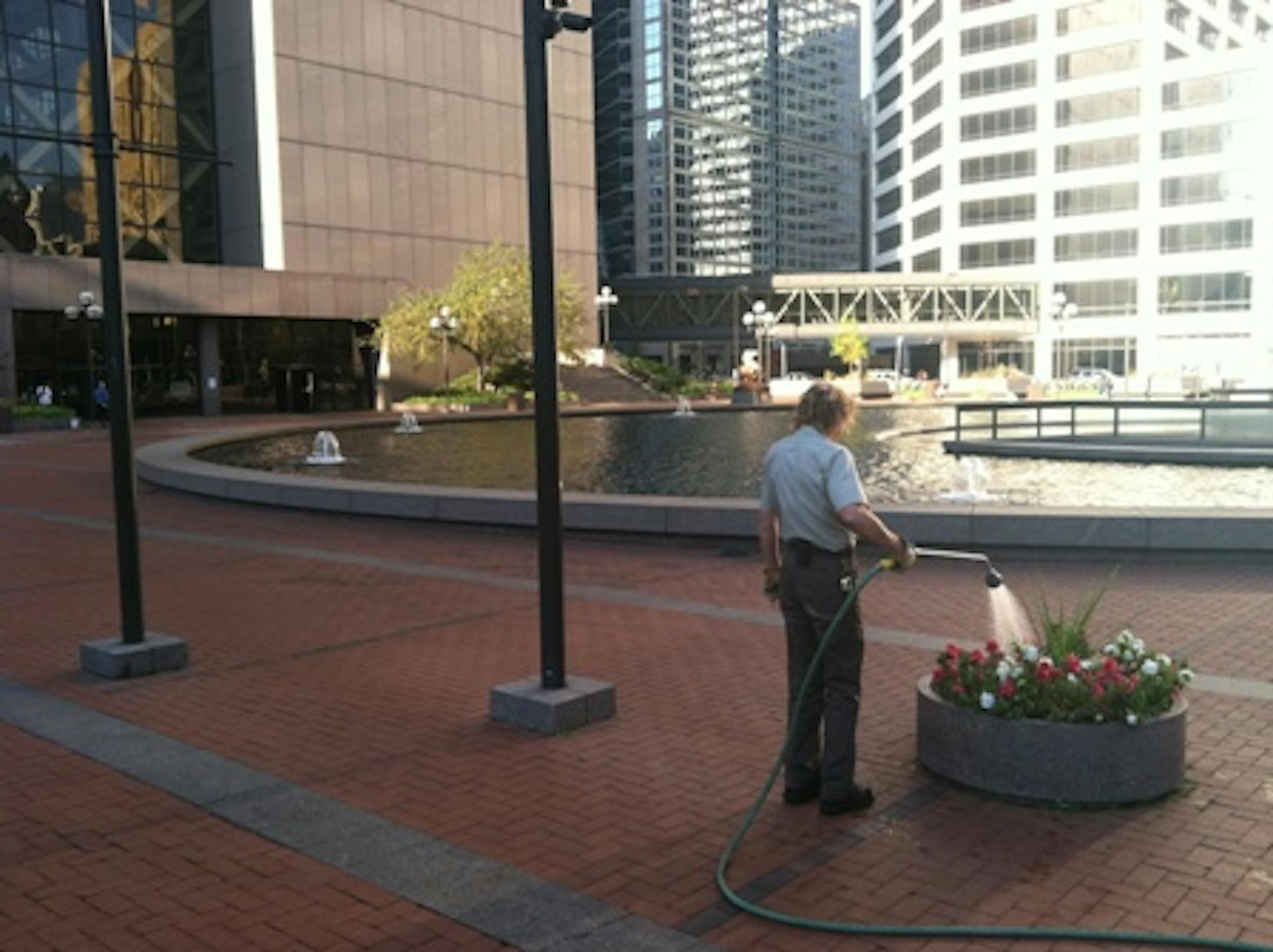 24 hours before Government Plaza becomes People's Plaza, a Hennepin County worker waters flowers