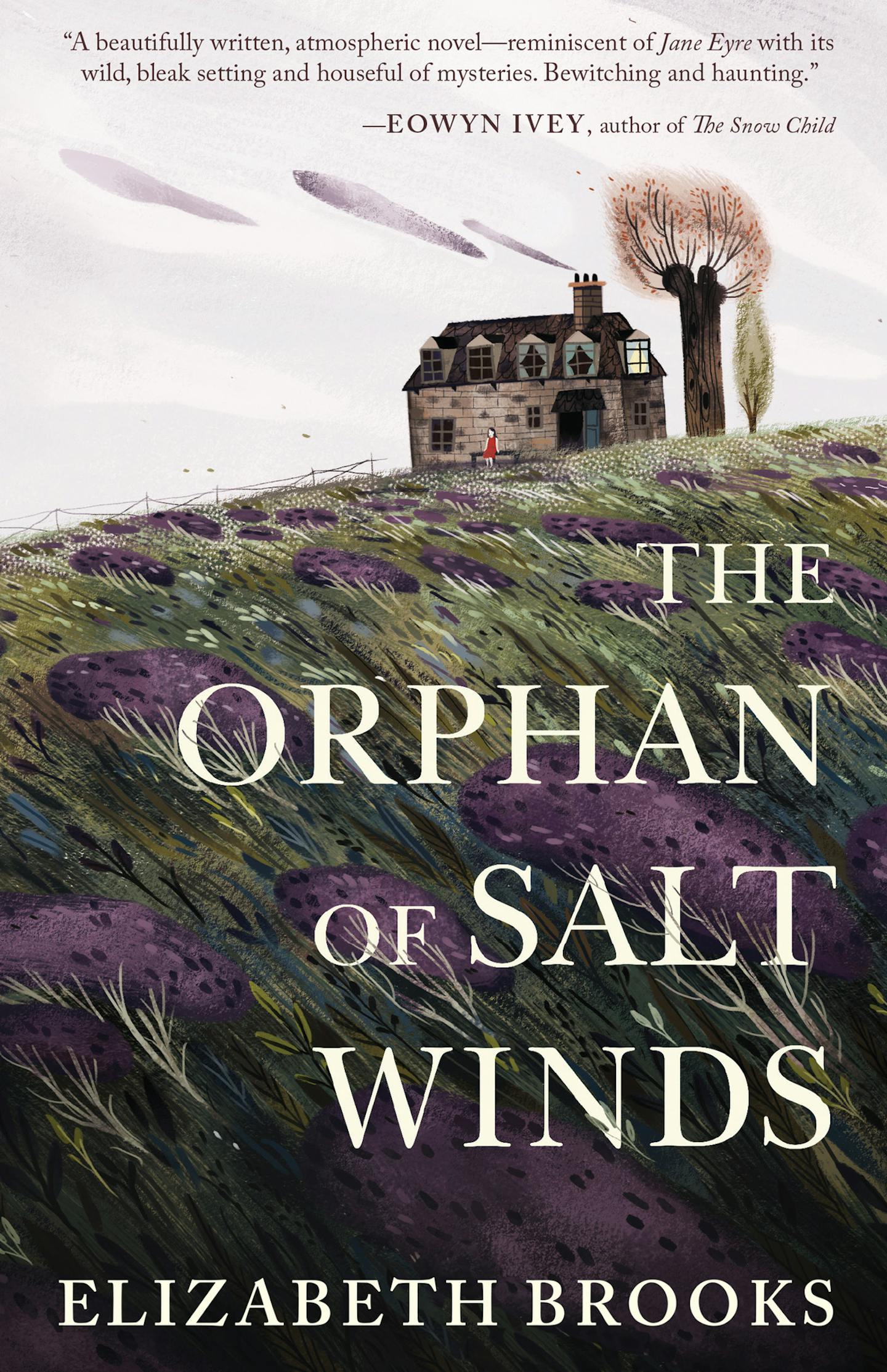 The Orphan of Salt Winds, by Elizabeth Brooks