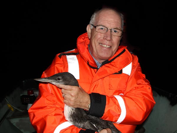 Carrol Henderson, supervisor Nongame Wildlife Program, Department of Natural Resources