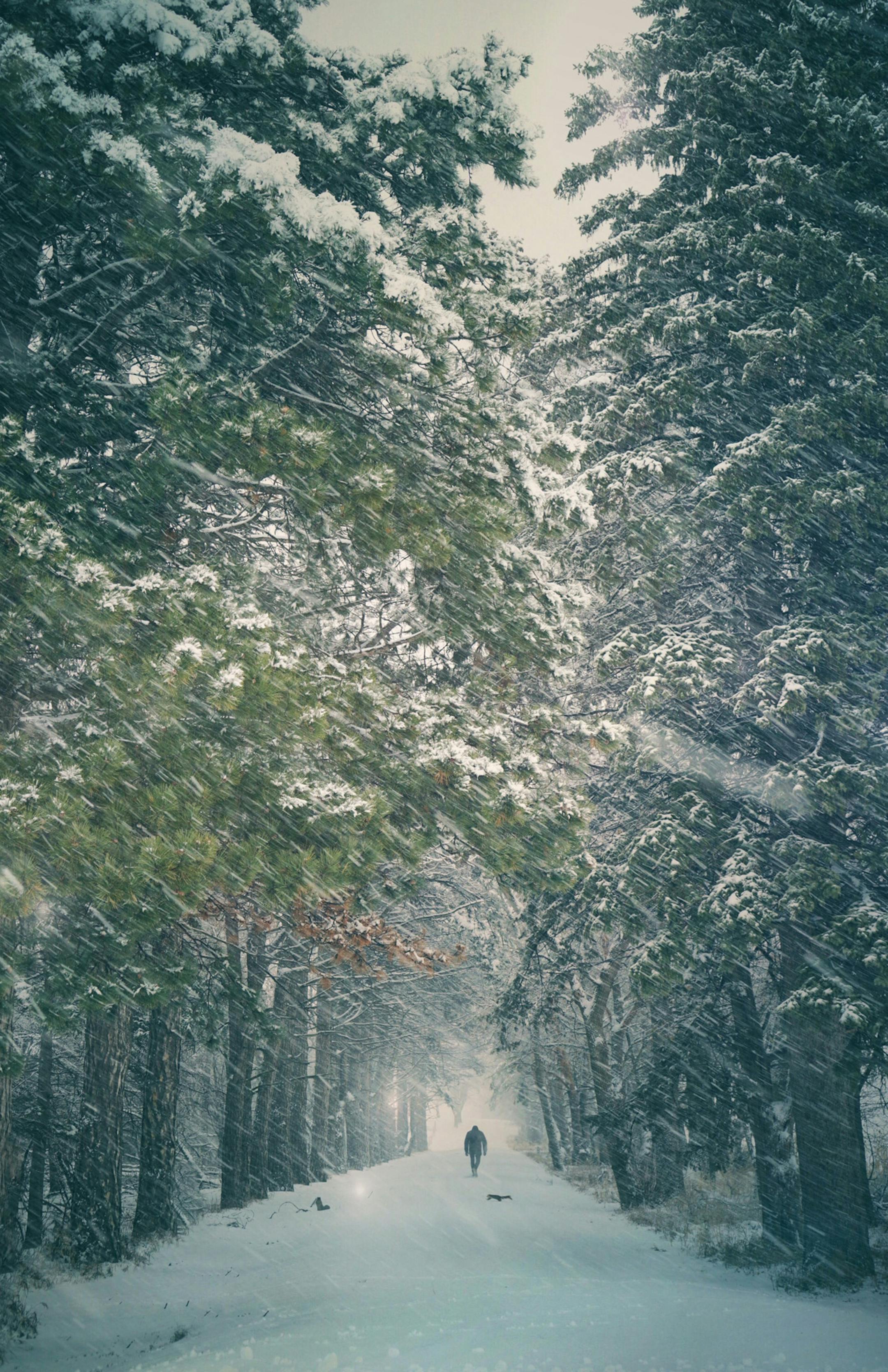 Tamie Steffen Hornstein, Canby, Minn.