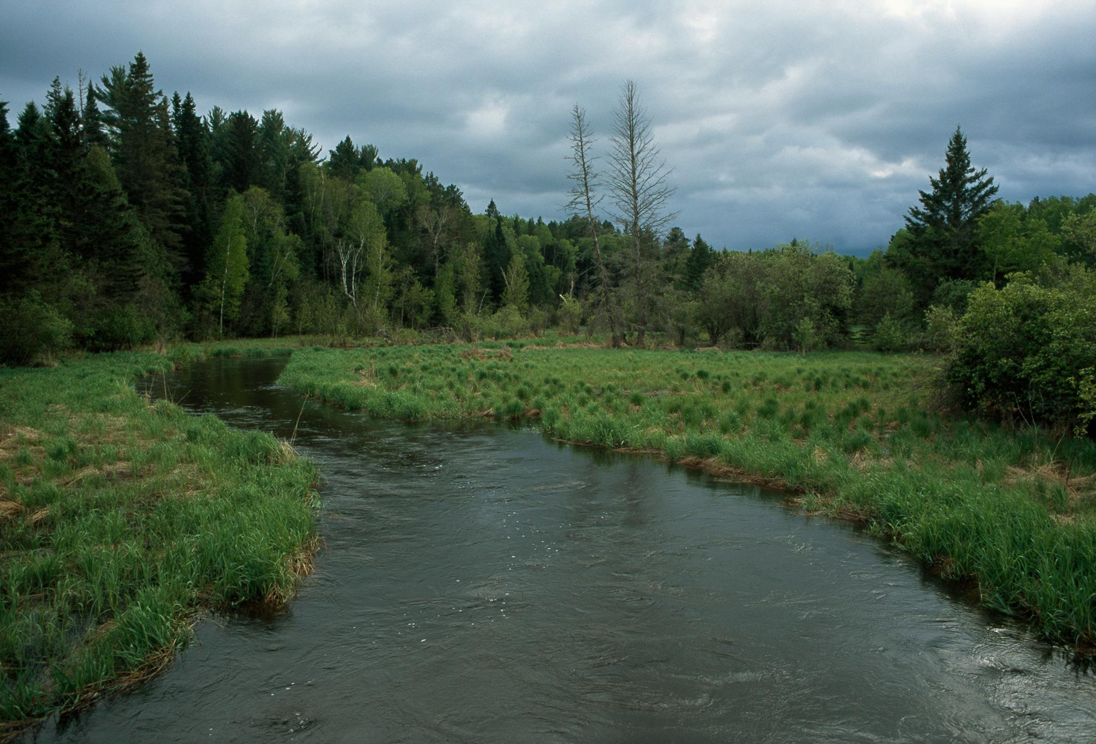 Near the Mississippi source.