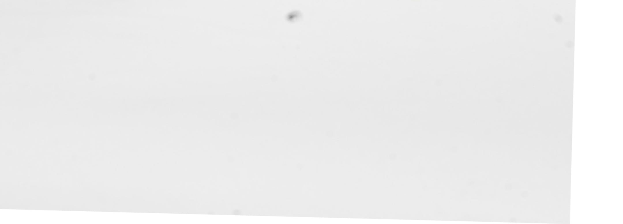 ] Minneapolis, MN ñ November 7, 2018, HOLIDAY BOOKS SECTION