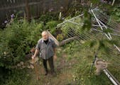 Christopher Lutter-Gardella tended to his raised-bed gardens, which flow from the side of his Minneapolis house into his backyard.