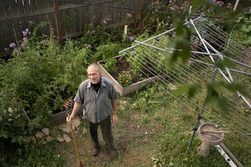 Christopher Lutter-Gardella tended to his raised-bed gardens, which flow from the side of his Minneapolis house into his backyard.