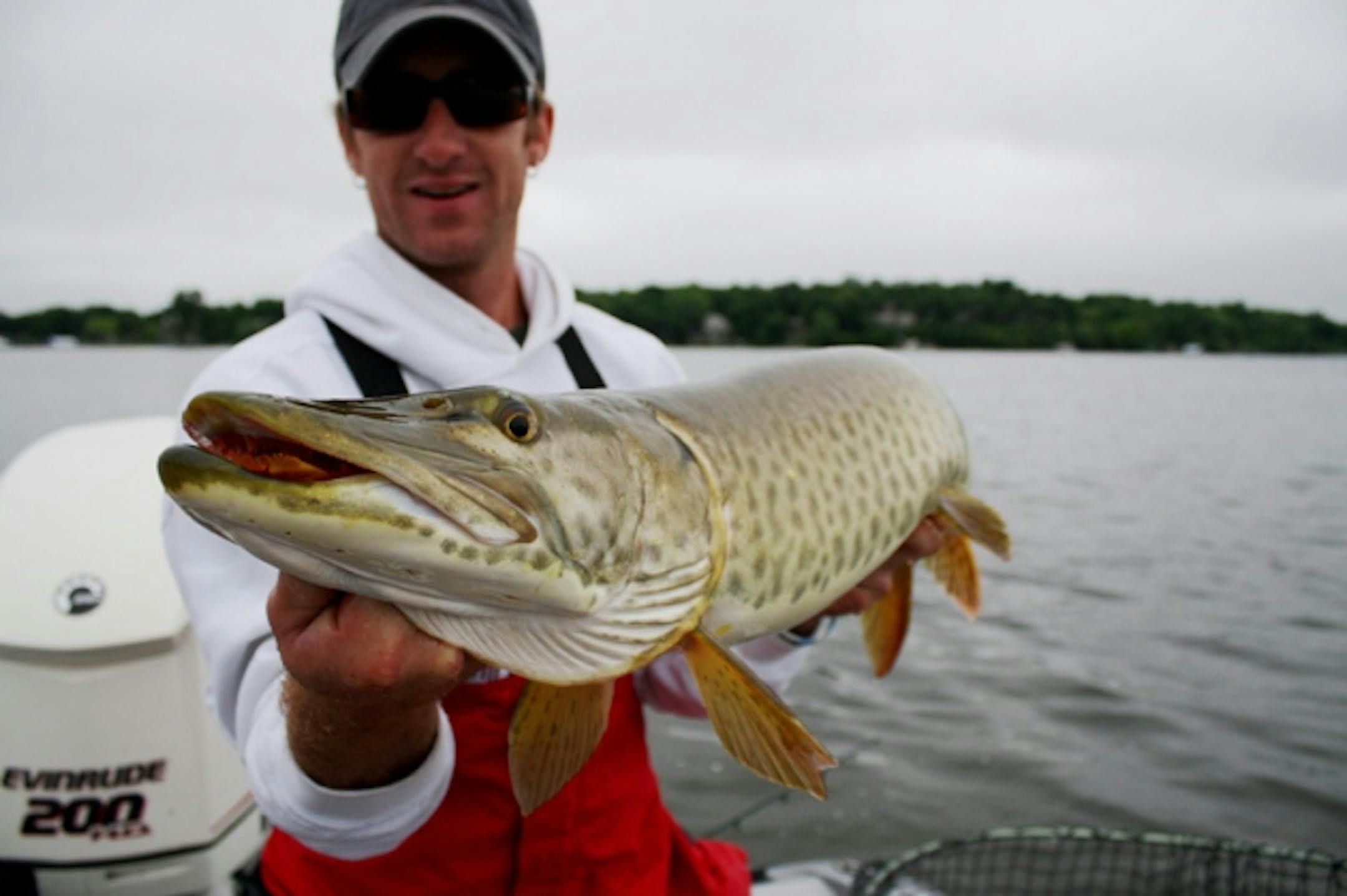 Sean Bailey holds a nice early season muskie caught on a metro lake.