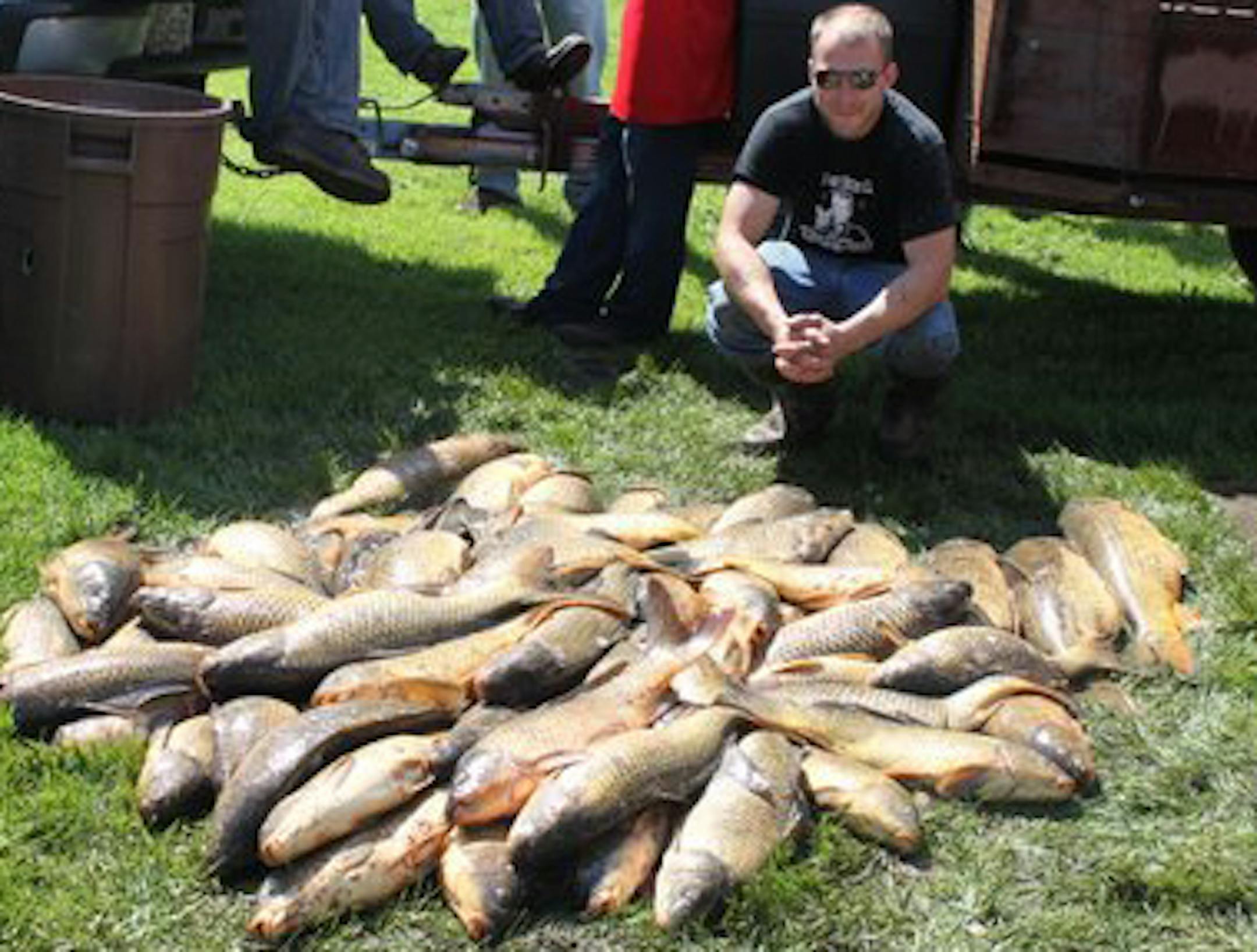 Jesse Mishler of Stacy hauled in 68 carp at the Chisago Lakes Lions Carp Festival on Saturday -- the most from one contestant. He shot some with a bow and arrow, and legally dip-netted others.