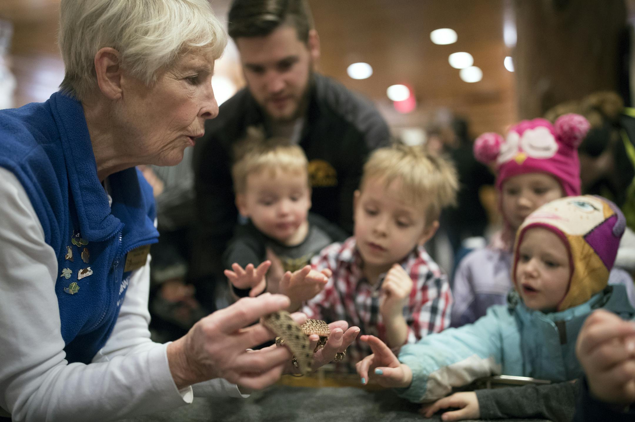 Volunteer Nancy Stoddard showed children a Western hognose snake Monday at the Minnesota Zoo in Apple Valley.
