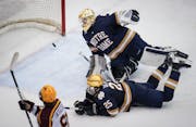 Gophers men's hockey blitzes Notre Dame 4-1 at home