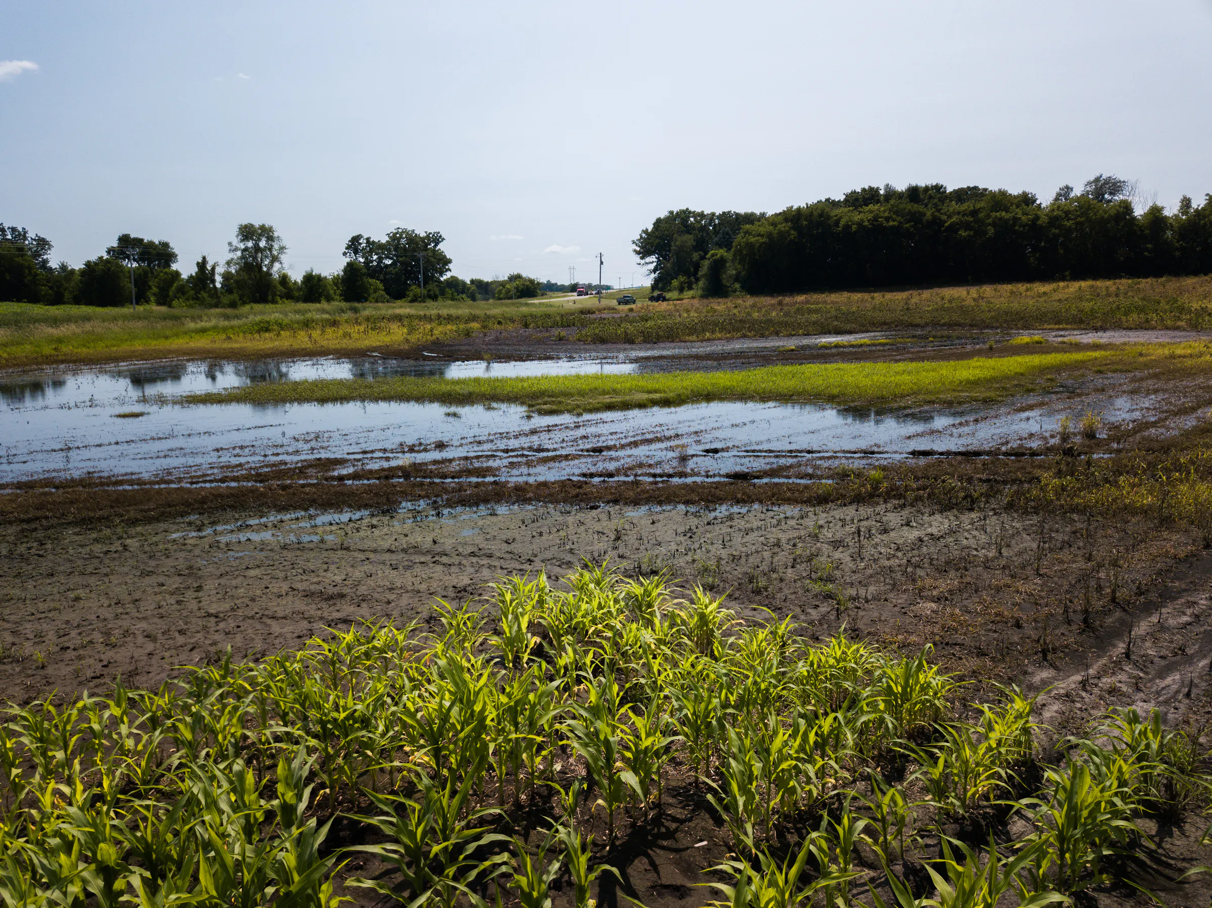 Wet, cold spring keeps farmers out of fields across Minnesota