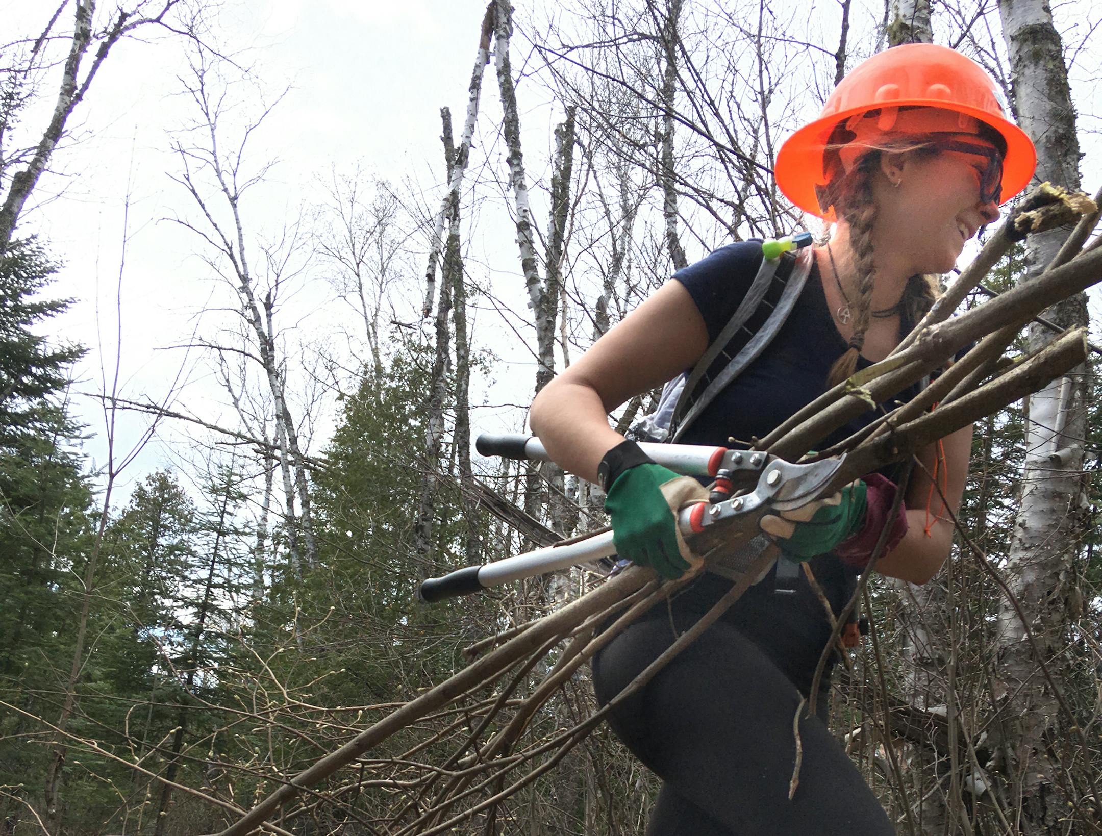 Kaitlin Thompson of Isle, Minn., hauled brush last month during a weekend spent volunteering on the Superior Hiking Trail near Finland, Minn.