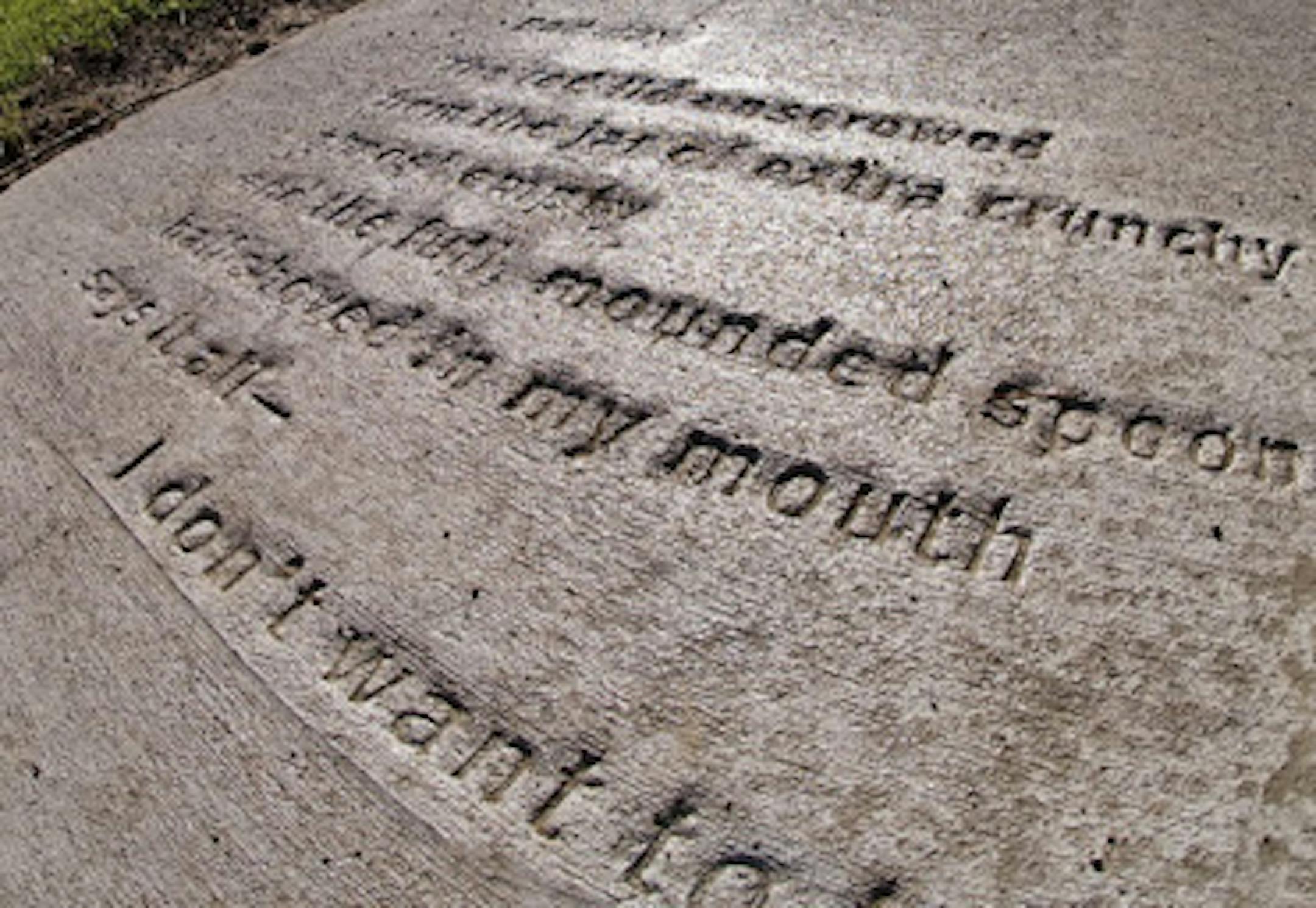 SIDEWALK POETRY As part of a public arts project, a poem is embedded in the sidewalk in st. paul's como neighborhood, at the corner of Grotto and Ivy Streets.