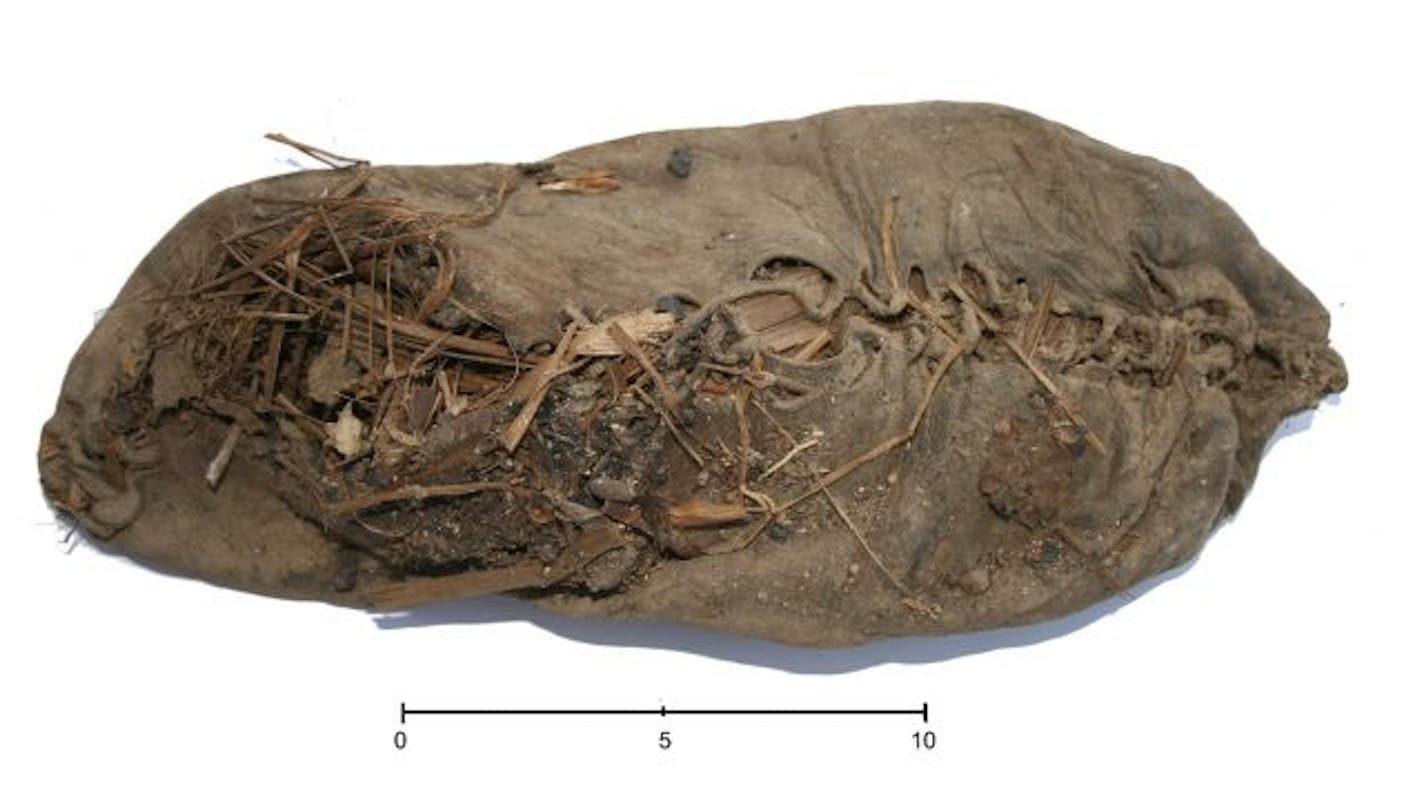 A 5,500-year-old shoe was discovered in a cave in Armenia.