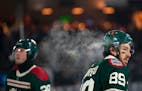 Dmitry Kulikov (29) and Frederick Gaudreau of the Wild had steam coming off their heads during Saturday’s game.