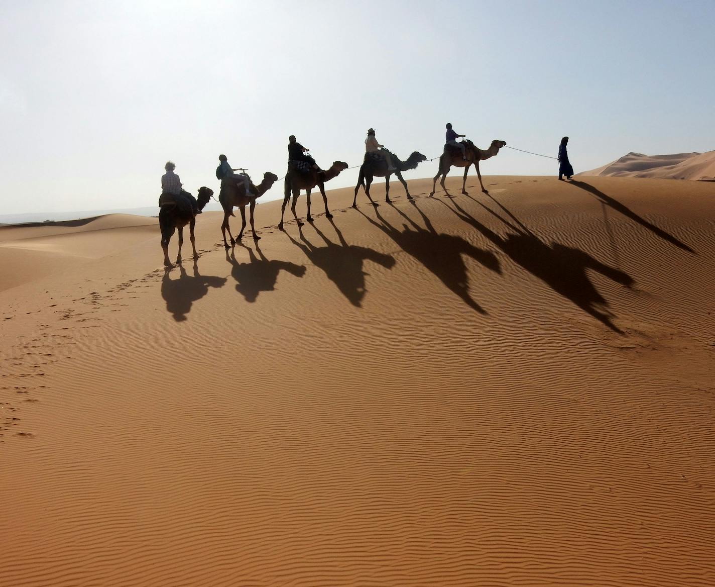 Tom Homme Minneapolis. Morocco. Kerri, name is Tom Homme from Minneapolis. Our group of 16 (13 from the Twin Cities) were traveling with Overseas Adventure Travel. Our overall guide, Nour, was fantastic. He shared his love of Morocco and his Berber culture with total enthusiasm. The image is from a morning camel ride in the Sahara near Merzouga which is far southern Morocco near the Algerian border. Our group was split into 3 groups each led by a camel handler. Hanging onto the saddle with one h