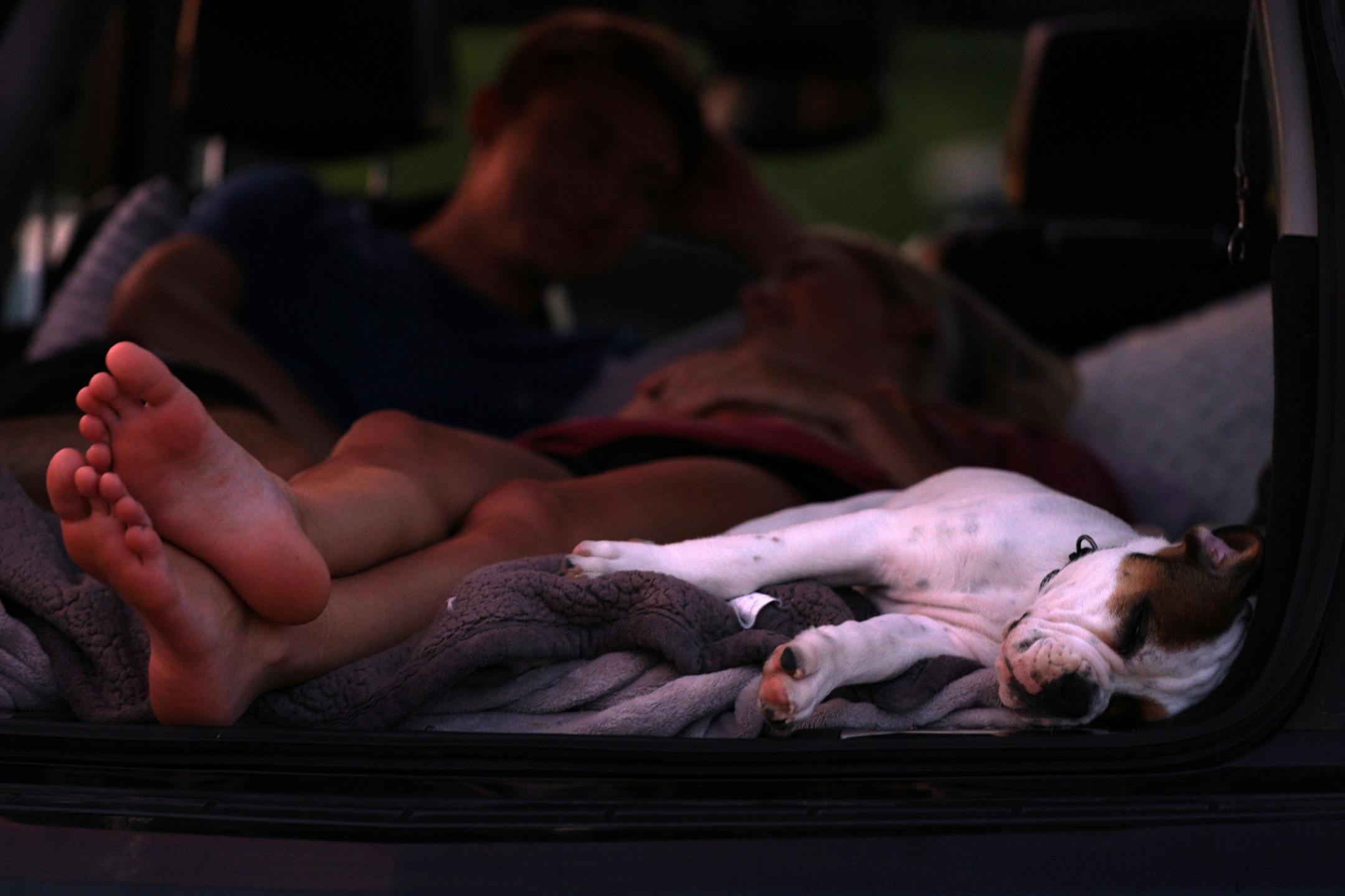 Joey, a 12-week-old pup fell asleep before the start of Friday night's show.