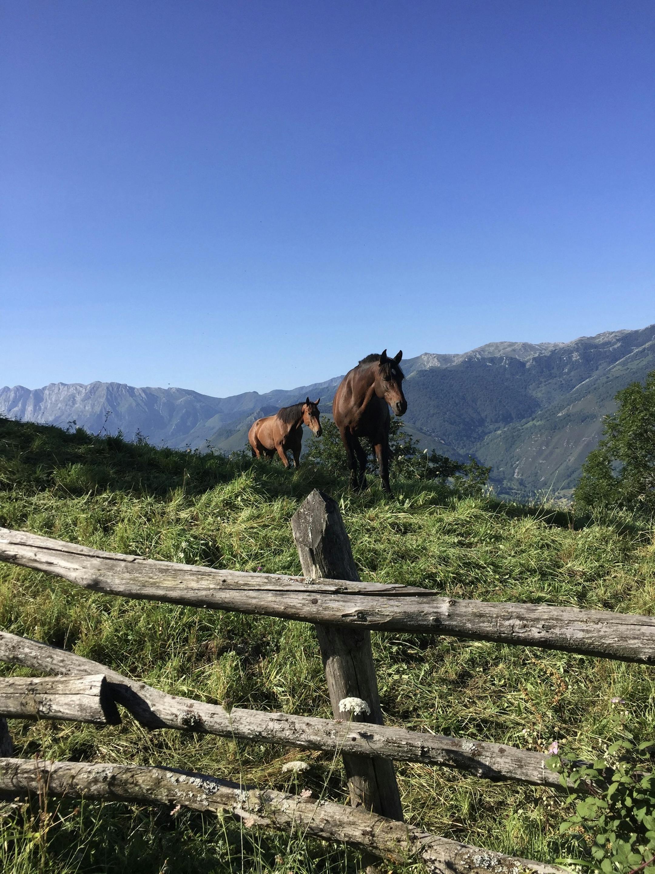 In northern Spain, the Asturias region is a natural choice for outdoor enthusiasts.
(Photo by Anne Stein, special to the Star Tribune)