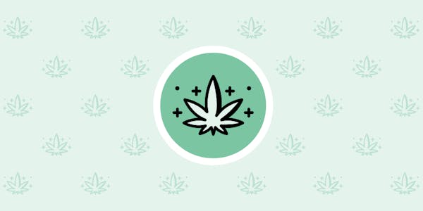 Introducing Nuggets, a weekly newsletter chronicling legal cannabis in Minnesota