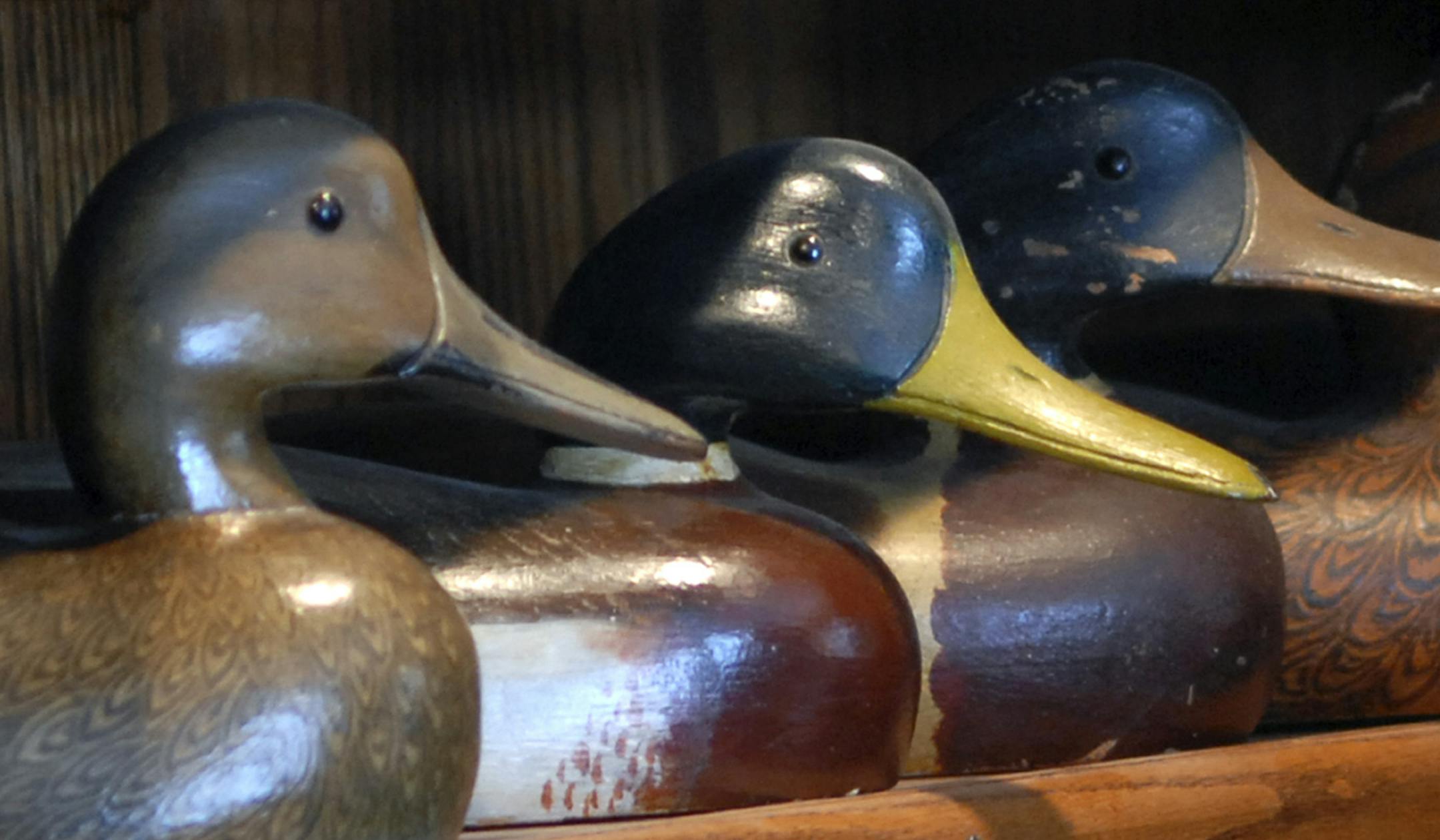RICHARD SENNOTT&#xac;&#x2022;rsennott@startribune.com Prior Lake, Mn Monday 1/29/2007 Marty Hanson, is one of Minnesota's preeminent carver of duck decoys. In this picture:Marty Hanson's collection of antique and rare decoys GENERAL INFORMATION: I'm doing a feature story on Marty Hanson, one of Minnesota's preeminent carver of duck decoys. His decoys sell for thousands of dollars. Hanson also recently made a series of unusual duck decoys that will be used as molds to make high-end plastic decoys