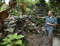 Steve Danielson built a stacked stone "grotto" water feature in his Maplewood yard featured on the Minnesota Water Garden Tour July 28-29.