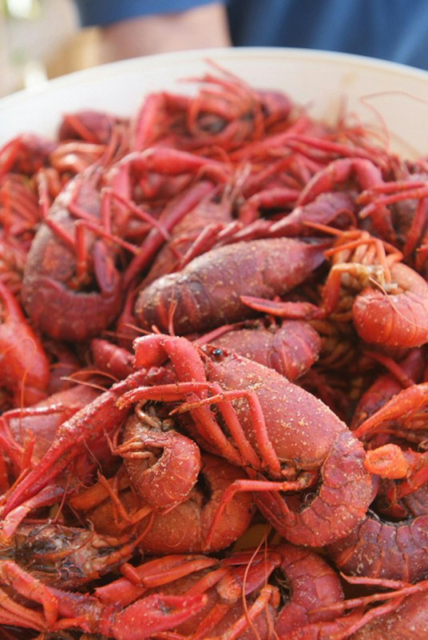 The Acadiana region on Louisiana is the self-proclaimed crawfish capital of the world.