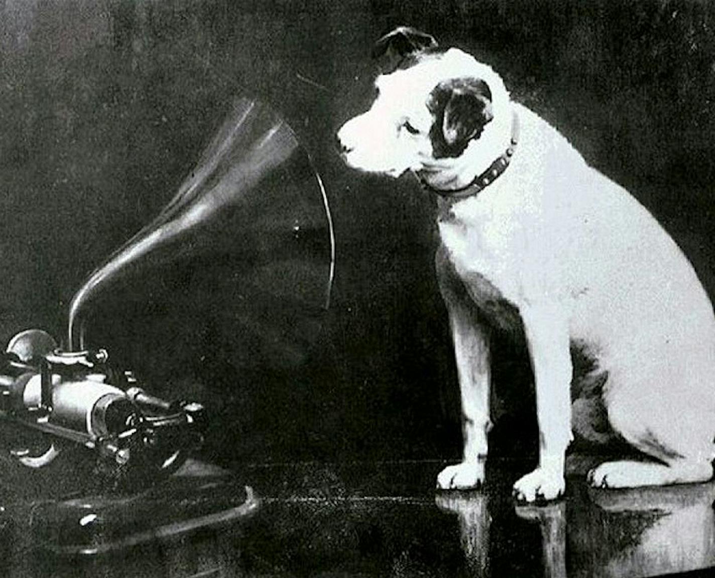 The precursor to audiobooks for dogs: Francis Barraud's 1895 painting of Nipper looking into an Edison Bell cylinder phonograph.