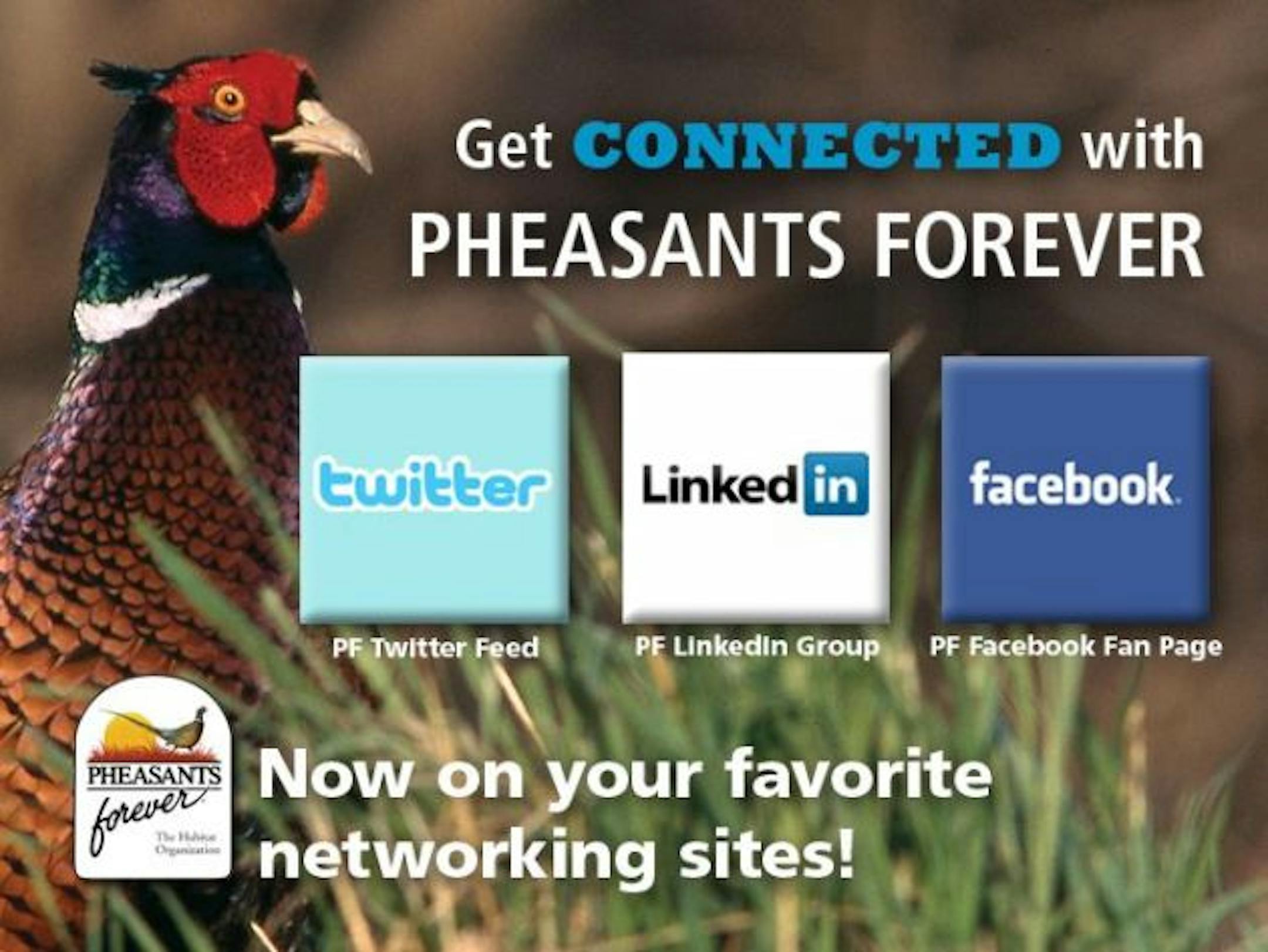 You can find Pheasants Forever on all the major social networking sites.