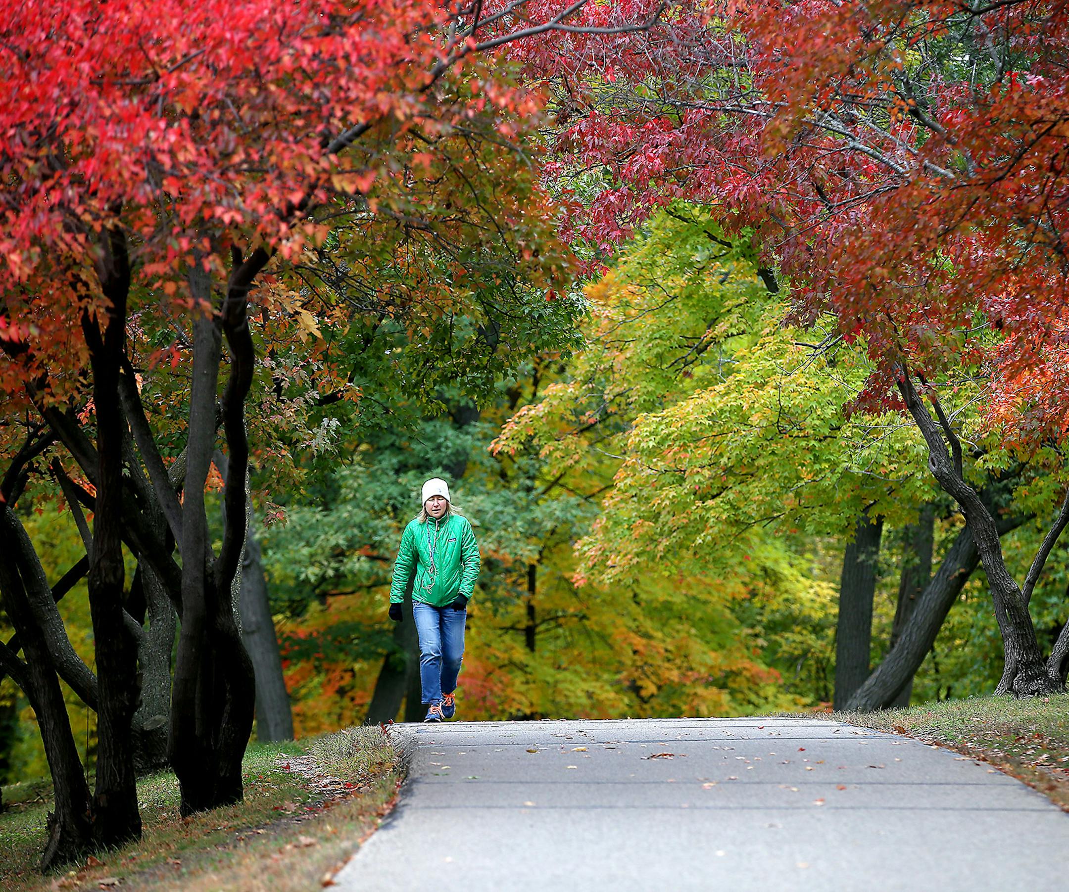 Mari Peterson made her way through a colorful path near Summit Avenue and Mississippi River Boulevard in St. Paul on Friday.