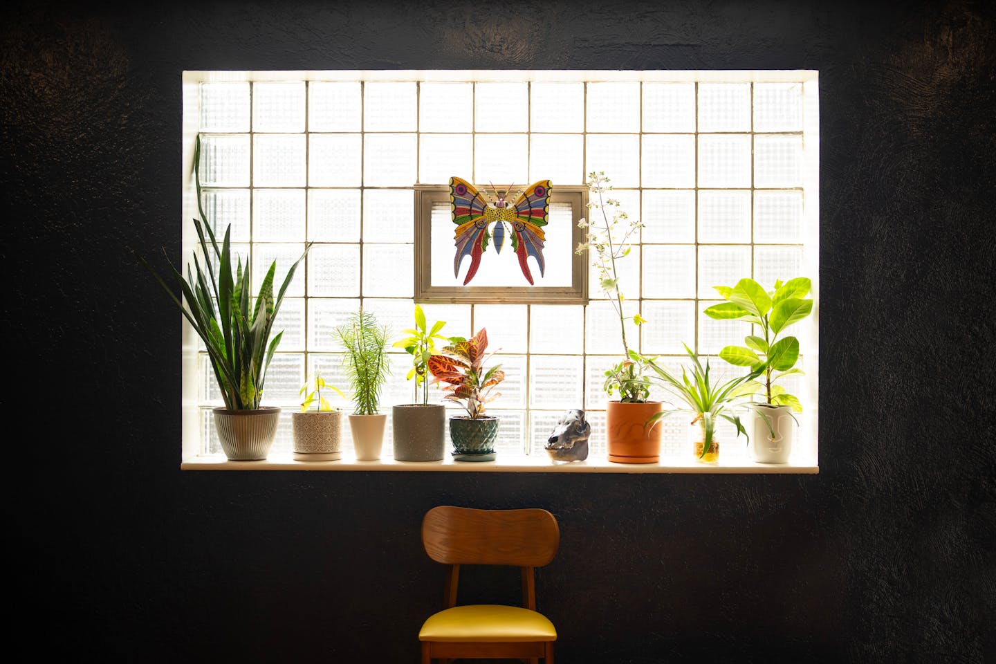 Review Oro by Nixta sets gold standard for Mexican food in Minneapolis