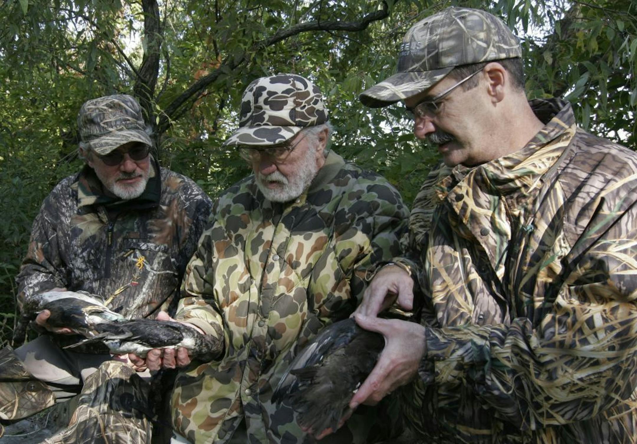 Doug Smith/Star Tribune; Sept. 24, 2011, near St. Peter, MN. Tracy Glass, left, Art Glass, center, and Bernie Lacher, right, examine three wood ducks they bagged on the duck opener last weekend.