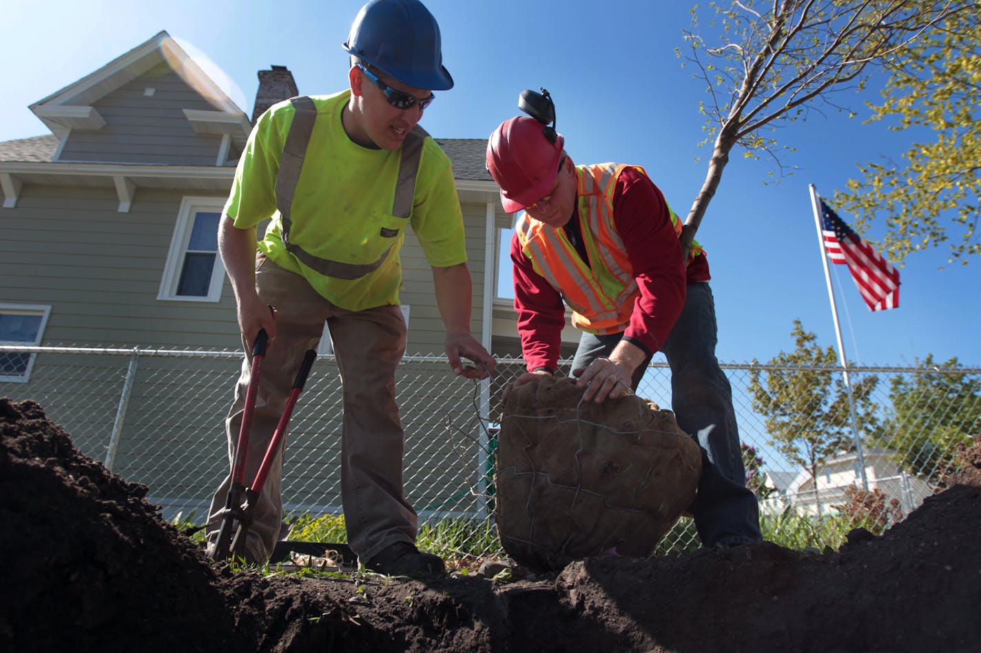 Joe Gulso left, and Jeff Dostal employees at the Minneapolis Park and Recreation planted a tree near Newton Avenue. Around 3,000 trees will be planted this spring on the north side, after last May 22, 2011 tornado.] (Jerry Holt/ STAR TRIBUNE/jgholt@startribune.com)