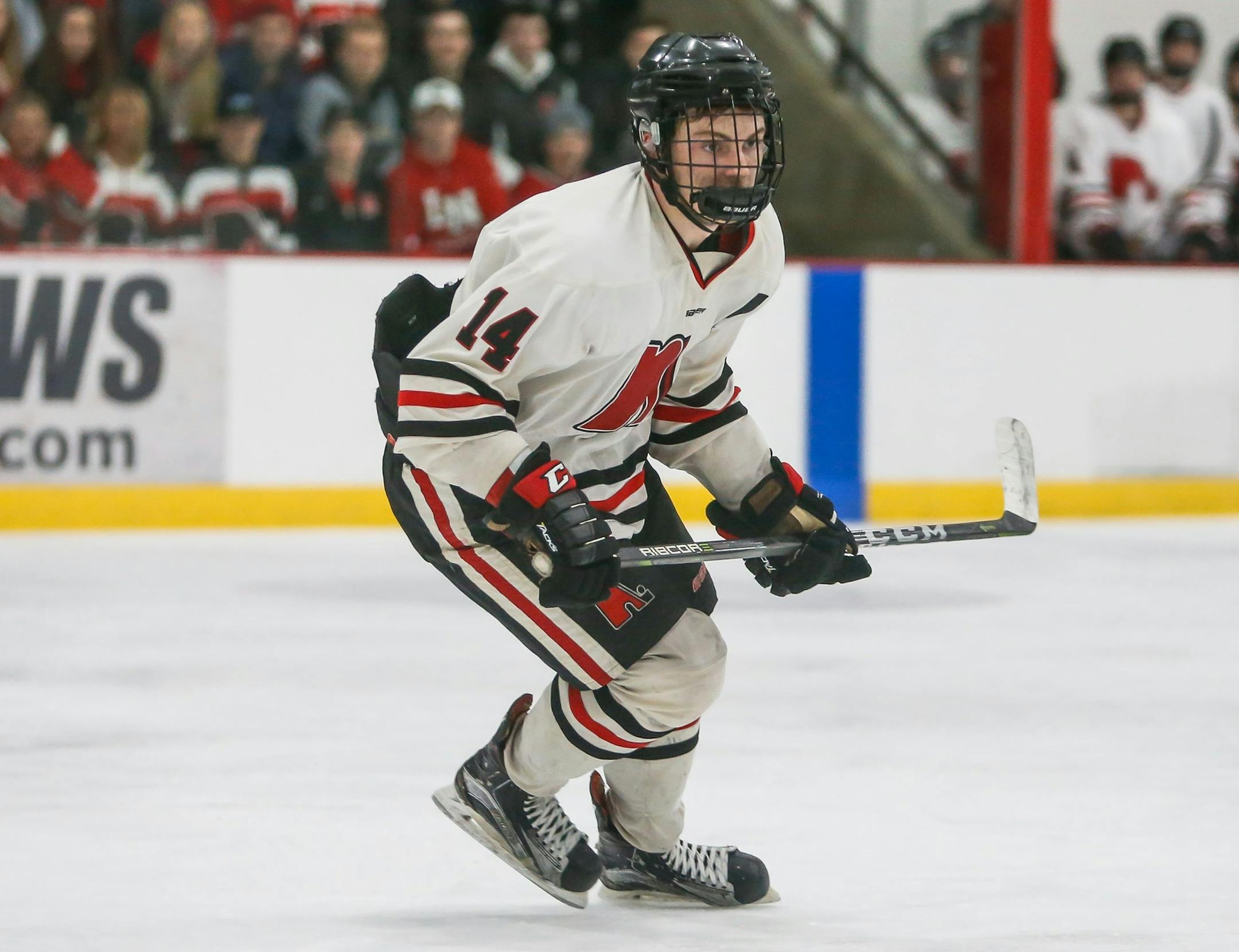 Lakeville North forward Spencer Schneider, Section 1AA Final, Lakeville North vs. Lakeville South, 3-1-18. Photo by Mark Hvidsten, SportsEngine