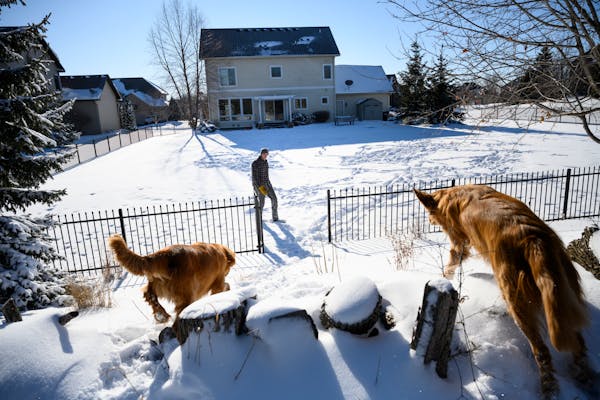 Luke Kramer and his golden retrievers returned to their property after exploring woods behind their new home in Minnetrista.