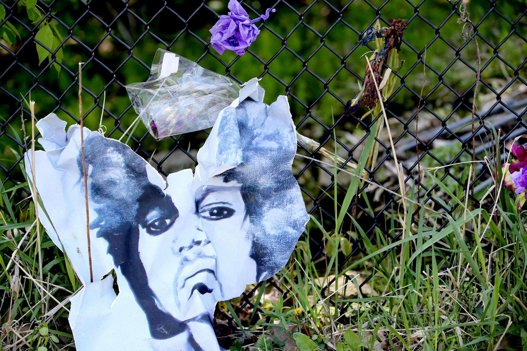 A weathered, torn portrait of Prince sits along the fence, outside Paisley Park Saturday, May 14, 2016, in Chanhassen, MN.