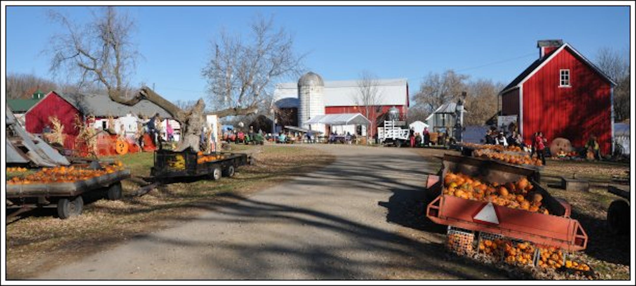 Nelson Farm is located in Litchfield, Minn.