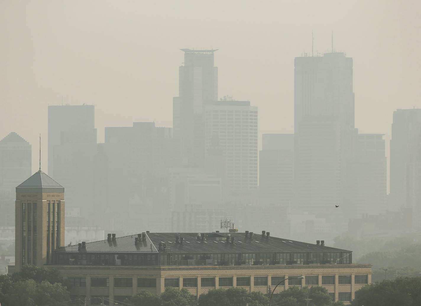 The Minneapolis skyline Monday afternoon from Ridgeway Parkway Park. JEFF WHEELER &#xef; jeff.wheeler@startribune.com Fires burning in Saskatchewan continue to degrade air quality in Minnesota, Monday, July 6, 2015.