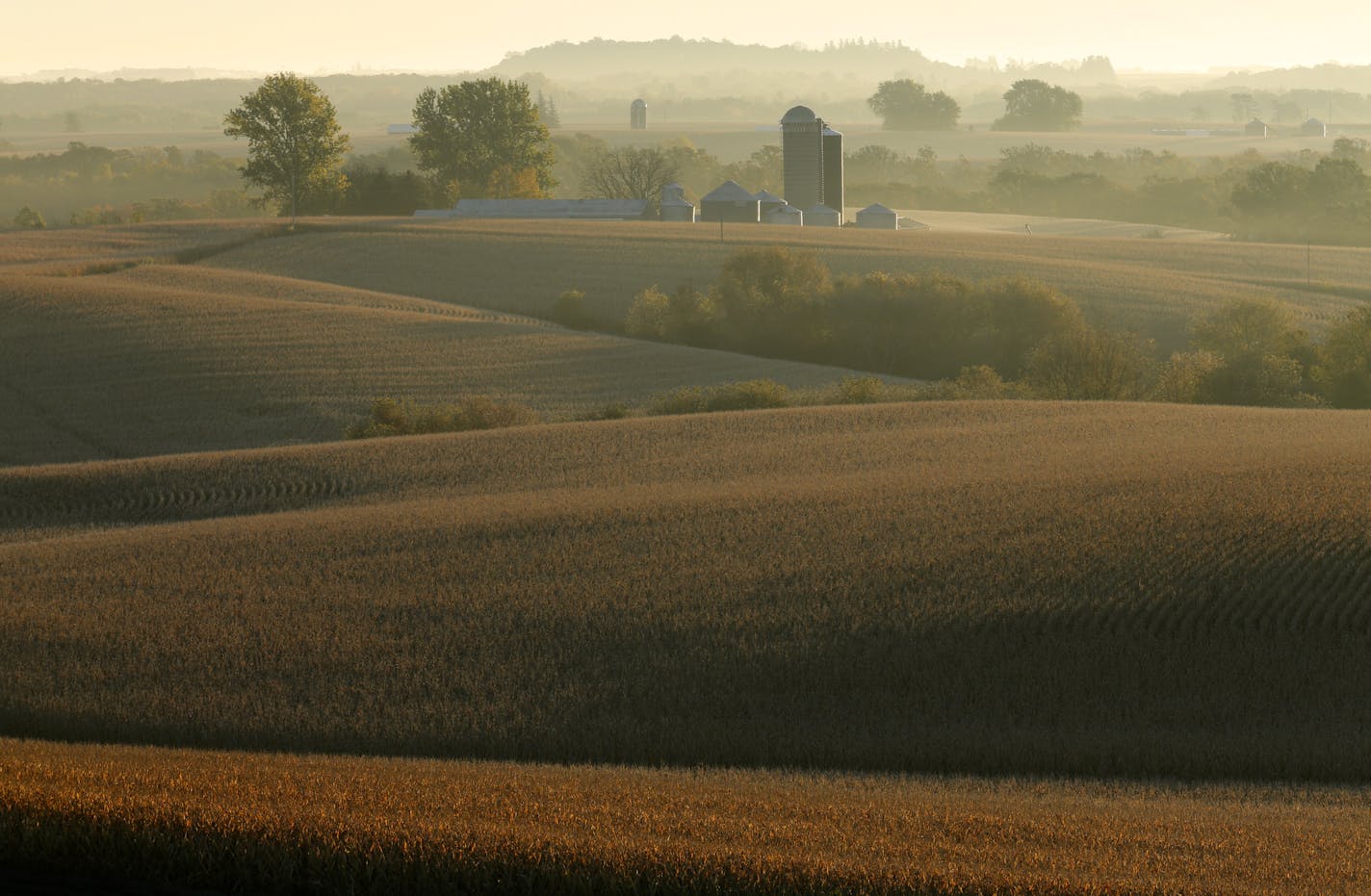 Rolling farmland of the Root River Valley near Lanesboro. ] Minnesota State of Wonders travel Project - South East Minnesota Bluff Country. BRIAN PETERSON &#x2022; brian.peterson@startribune.com Lanesboro, MN 10/13/14