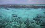 Cuba has sought to protect its 3,500 miles of coastline and pristine waters, creating protected areas such as Jardines de la Reina, above, and keeping