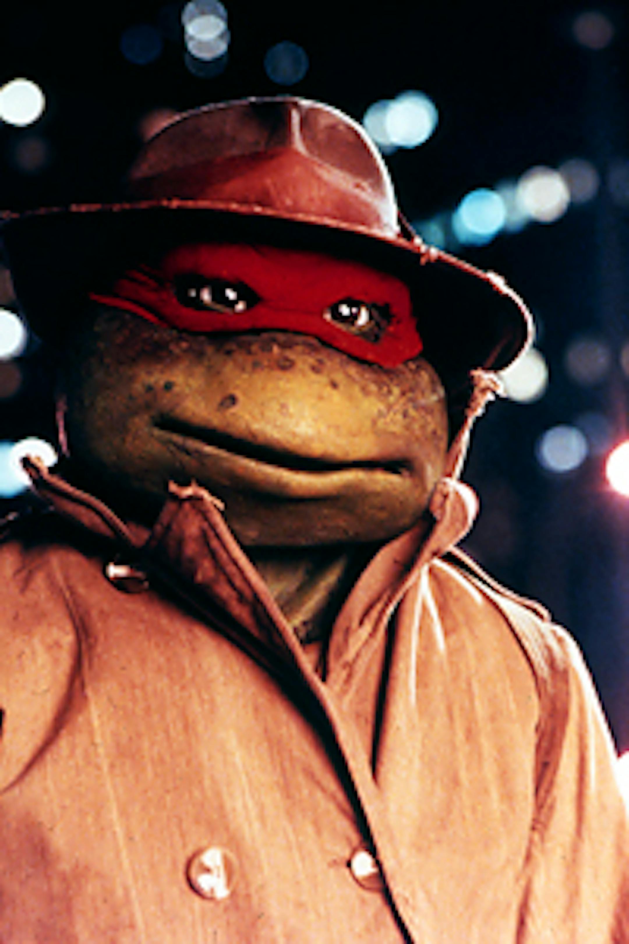 "Teenage Mutant Ninja Turtles"