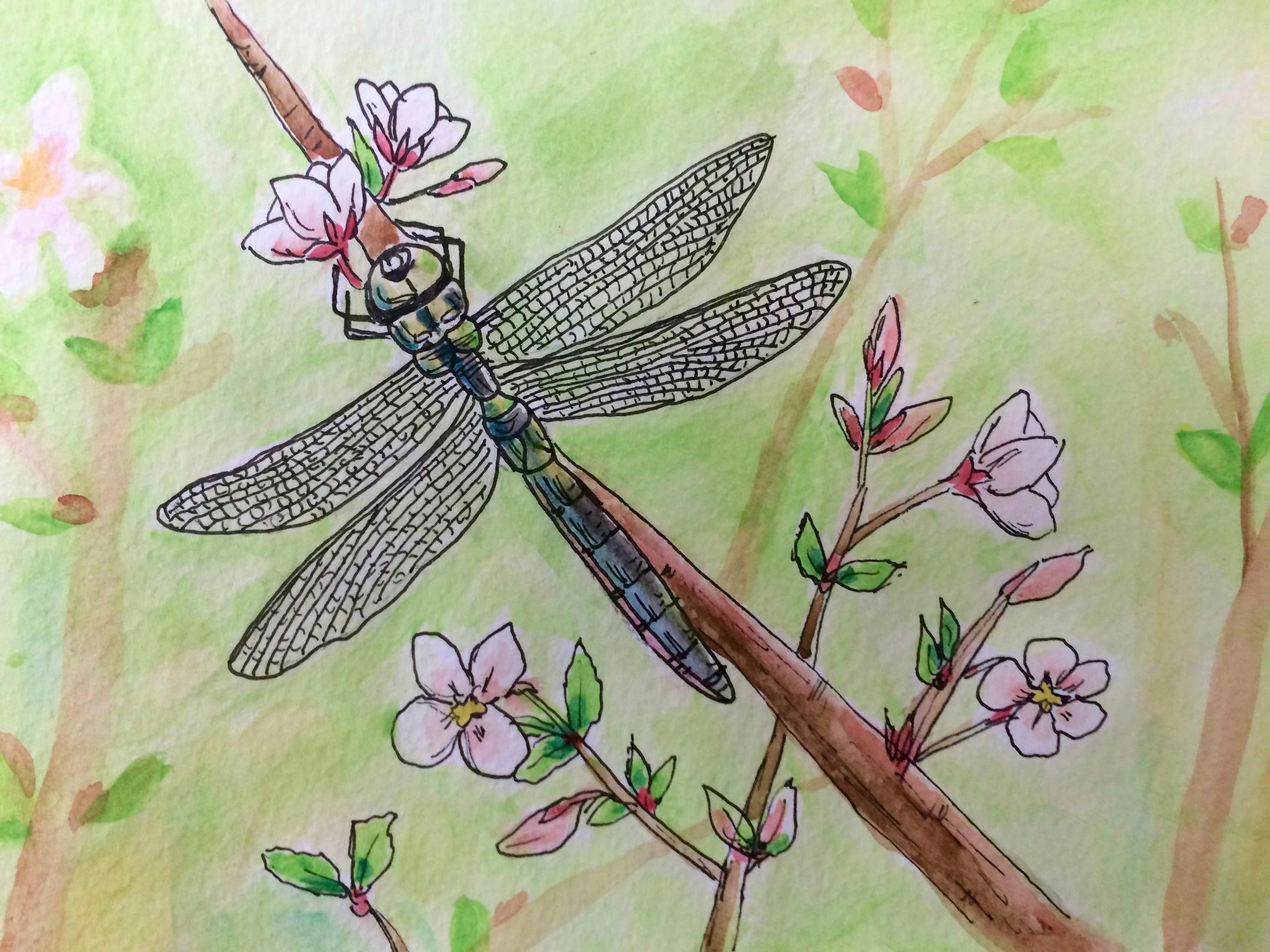 Dragonfly by Lisa Meyers McClintick.