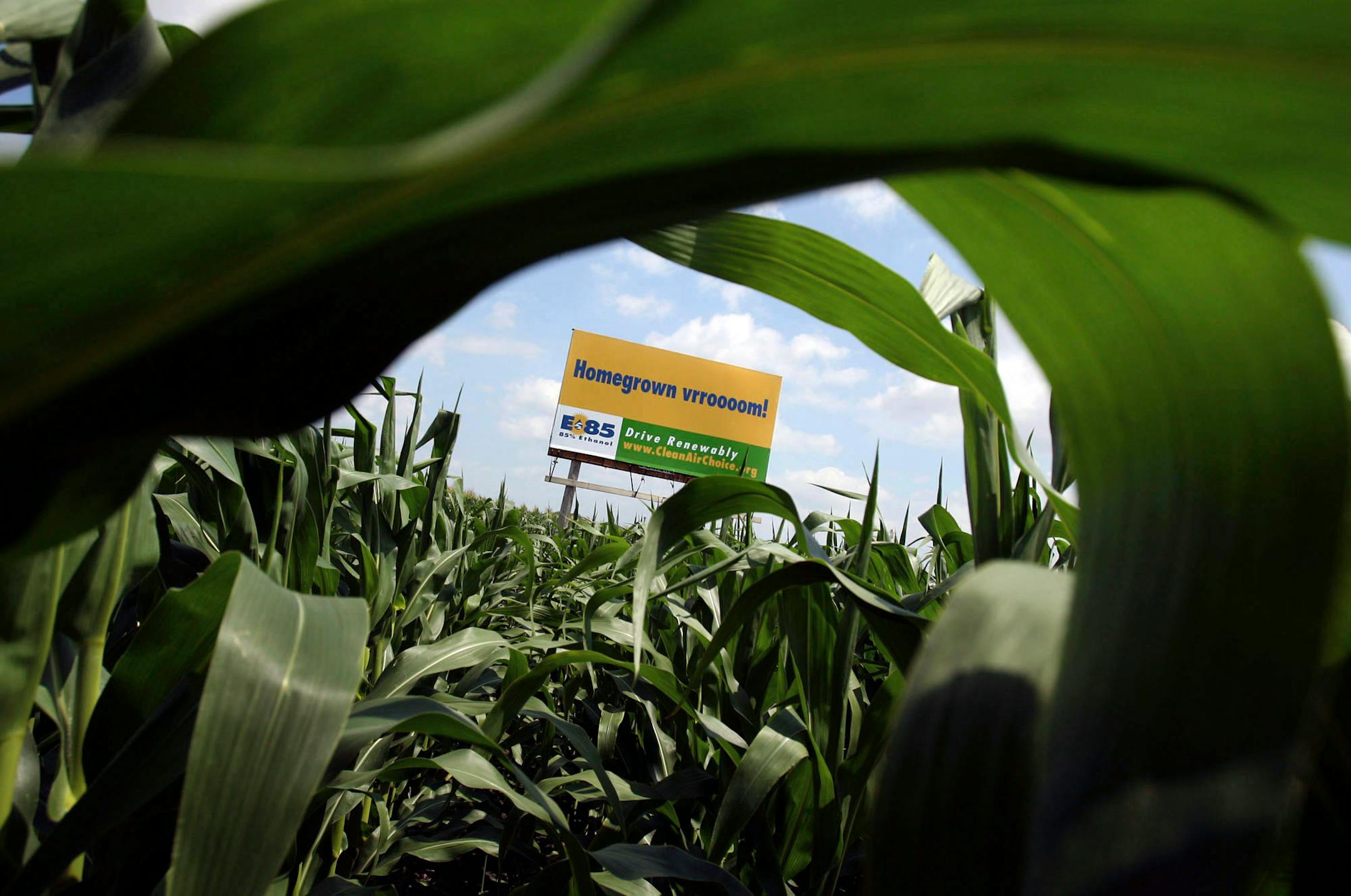 A promotional ad for E85 sits in a cornfield near Willmar, Minn.