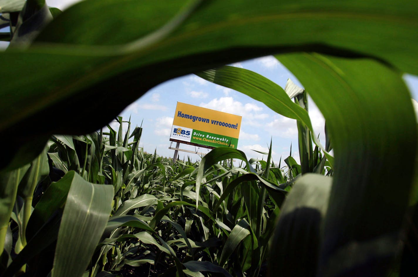 A promotional ad for E85 sits in a cornfield near Willmar, Minn.