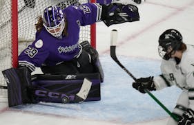 Among the possible names Star Tribune readers suggested for the championship-winning pro women's hockey team: Minnesota Ice, Mystic, Marauders and Ske