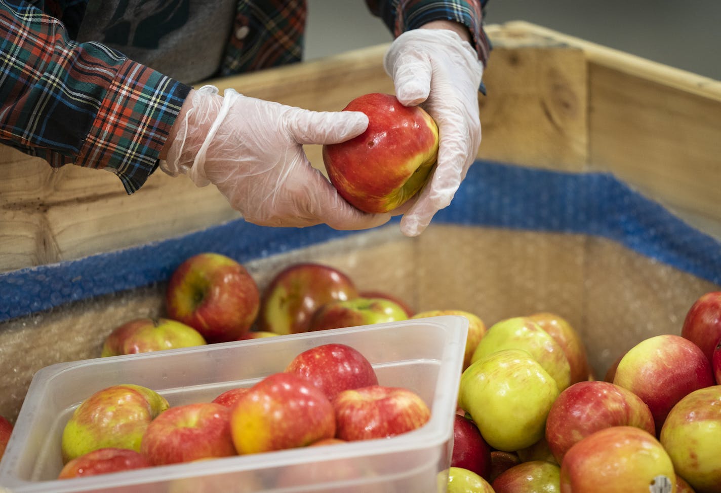 Volunteer Valerie Kuhlman of Crystal inspected apples before packing them into boxes at Second Harvest Heartland in Brooklyn Park. ] LEILA NAVIDI • leila.navidi@startribune.com BACKGROUND INFORMATION: Volunteers pack apples into boxes at Second Harvest Heartland in Brooklyn Park on Friday, May 22, 2020. Second Harvest Heartland has long relied on hundreds of volunteers to pack food that's distributed to food shelves. But with COVID-19, the food bank has had a big drop in the number of volunteers