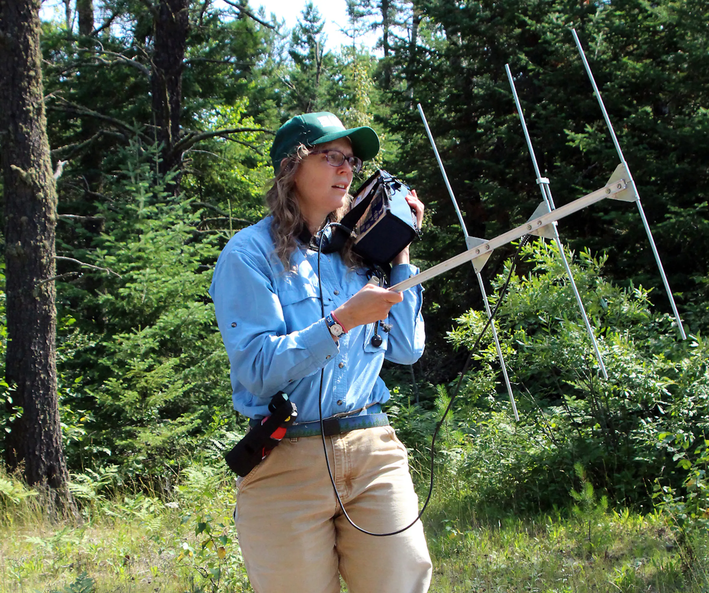 Federal wildlife researcher brings sense of wonder to her work